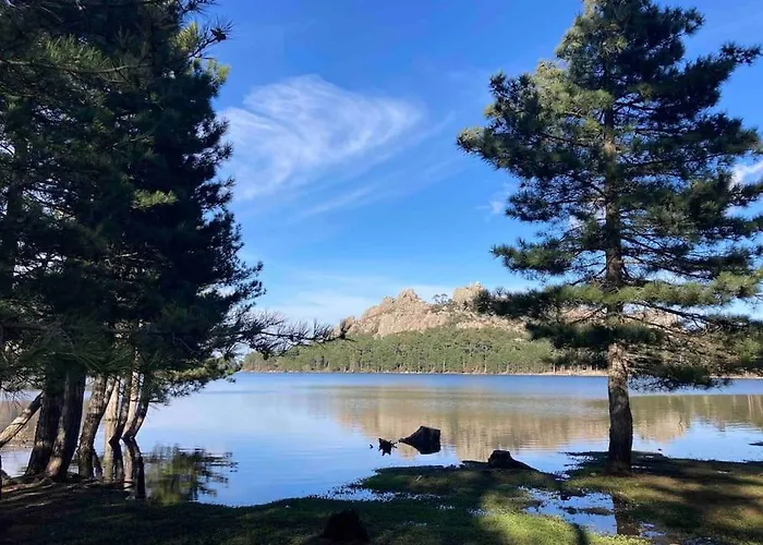 Charmante Bergerie 度假居 博尼法乔